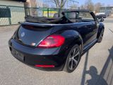 Volkswagen Beetle 2,0 TDI TÜV&Service+Xenon+Leder+17 Zoll - Volkswagen Beetle in Hamburg