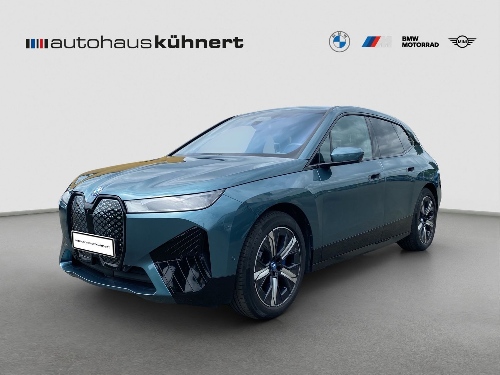 BMW iX xDrive 40 ACCSportpaket SpurAss StHzg 360° Hi