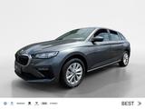 Skoda Scala Selection 1,0 TSI 85 kW 7-Gang-DSG / Infot