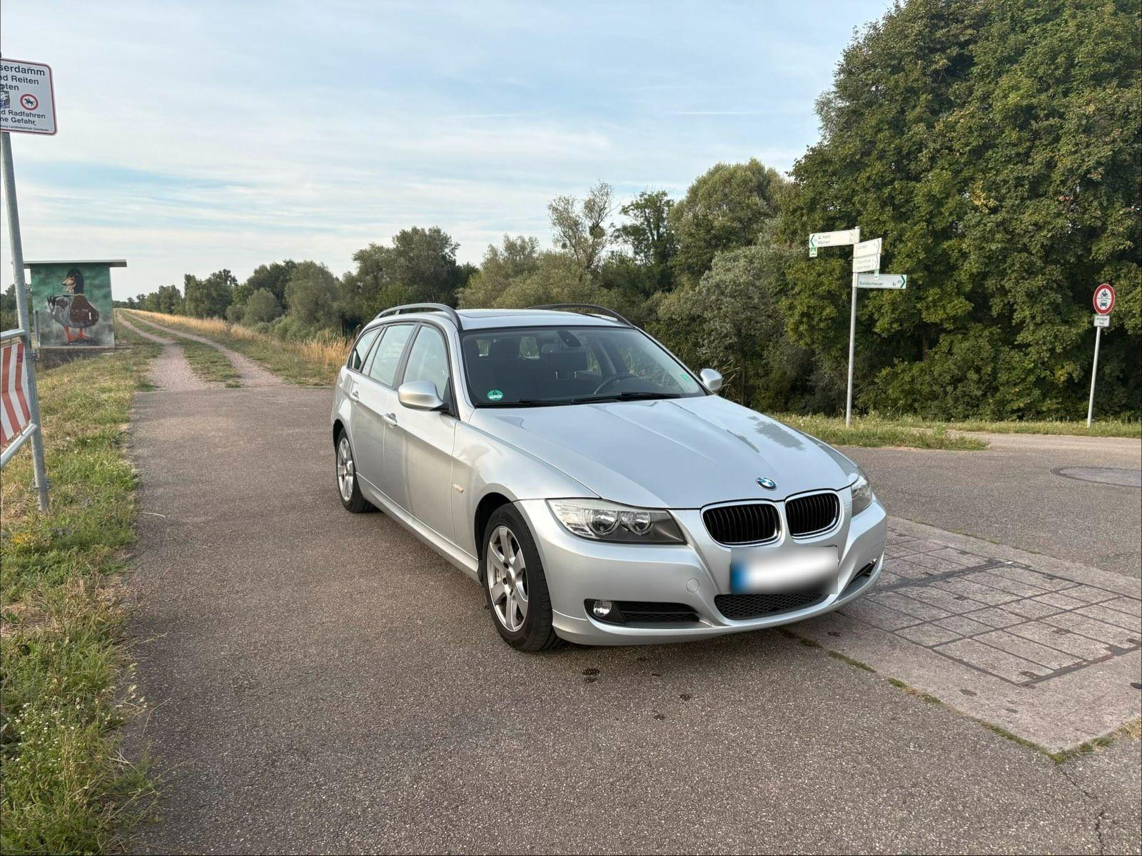 BMW 318 2010 — rear view