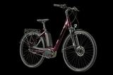 Trenoli Brenta Classico Active Plus NX - Trenoli E-Bikes
