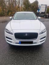 Jaguar F-Pace 35t AWD Portfolio Voll PANO 20 Zoll Leder - Jaguar aus 2017