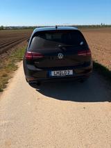 Volkswagen Golf 2.0 TSI BMT GTI GTI - Volkswagen Golf: Leder, GTI