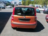 Fiat 1.2 8V Dynamic.elFe.8fachbe..1Hand.Tüneu.1A - Fiat Panda bis 5.000 Euro