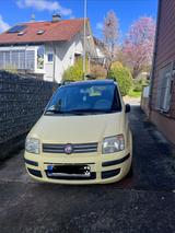Fiat Panda - Fiat Panda mit Panoramadach