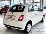 Fiat 500 Hybrid 1.0 Cult Klima DAB Temp Berganfahrass - Fiat 500: Cult