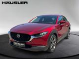 Mazda CX-30 2.0 Selection mit ACC*BOSE*SHZ*uvm. - Mazda CX-30 aus 2023