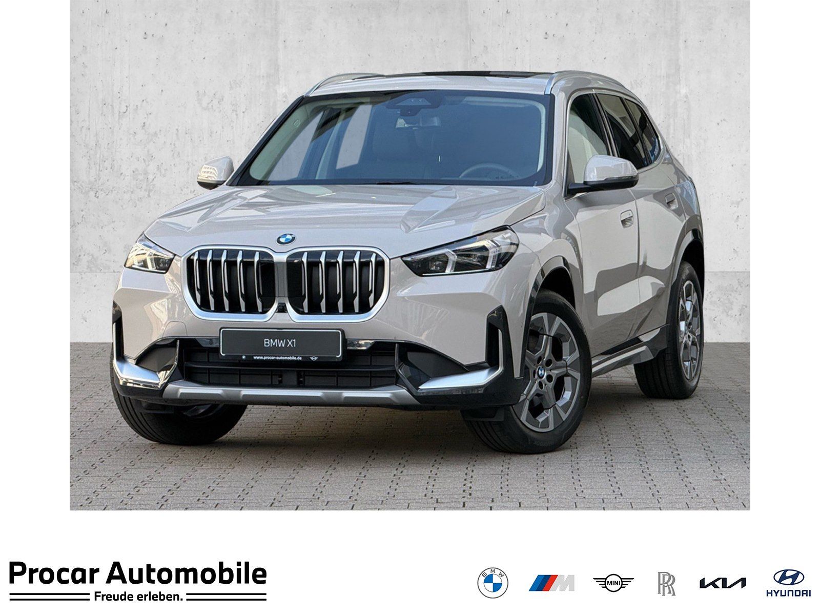 BMW X1 sDrive18i xLine HUD PANO ACC AHK RFK NAVI