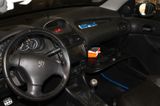 Peugeot 206 CC Platinum 110, TÜV neu, Klima, Leder, - Peugeot 206: Platinum