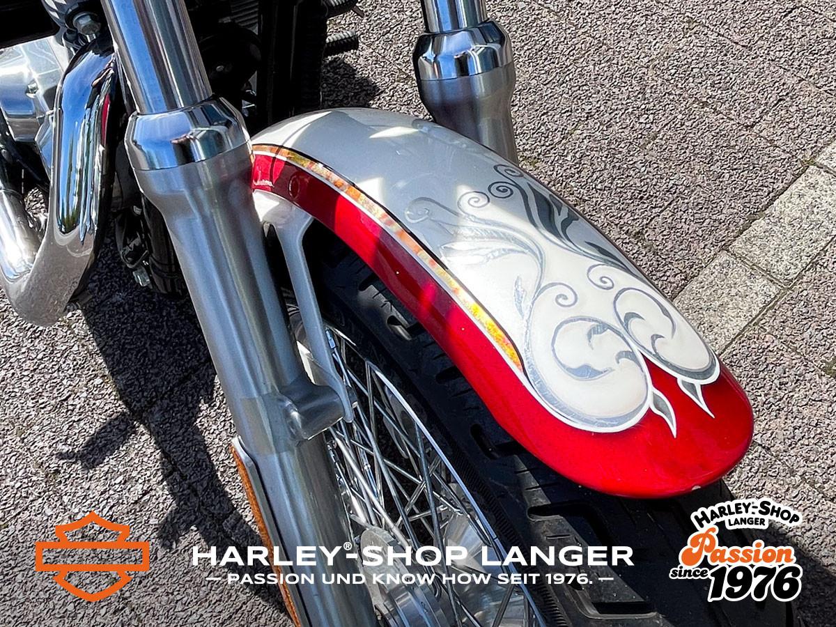Harley-Davidson Sportster XL 883  Low - Custompaint