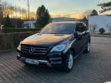 Mercedes-Benz ML 350d BlueTec AMG Int. AHK Schiebedach - Mercedes-Benz ML 350: AMG