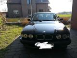 BMW  E34 530 i Touring V8 - BMW 530 aus 1995: 530i