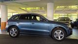 Audi Q5 2.0 TDI S Line quattro/AHK/BiXen/Navi/SHZ/PTS - Audi Q5 Gebrauchtwagen in Stuttgart