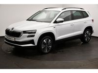 Skoda Karoq - Vorschau Bild 1
