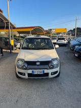 Fiat Panda 1.3 MJT 16V DPF Emotion - Fiat Panda Emotion mit Diesel-Antrieb