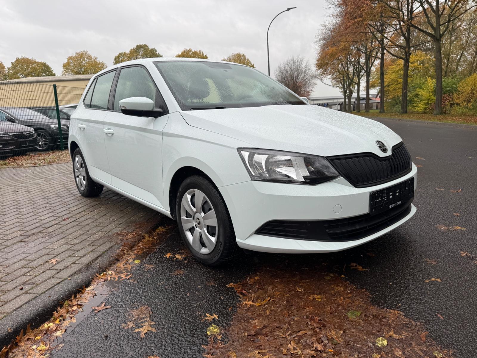 Skoda Fabia Cool Plus*PDC*SHZ*Klima*Euro 6