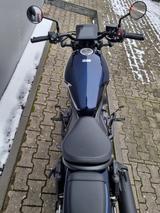 Honda CMX 1100 Rebel 2025 *Neufahrzeug* auf Lager* - HONDA CMX REBEL