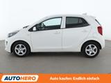 Kia Picanto 1.2 Vision*NAVI*CAM*SHZ*KLIMA*DAB* - Kia Picanto Gebrauchtwagen in Stuttgart
