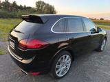 Porsche Cayenne Turbo  - Porsche Gebrauchtwagen in Braunschweig