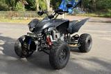 Explorer Trasher 520 - EXPLORER QUAD
