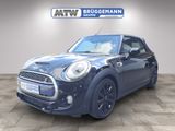 MINI Cooper S Cabrio 1.Hand Top LED Klima SHZ Keyless - MINI Cooper S Cabrio aus 2016
