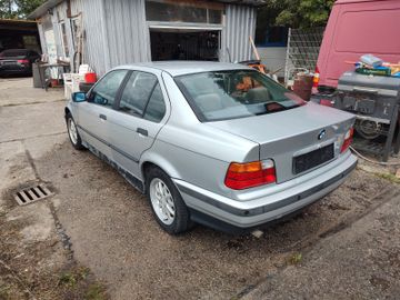 BMW 318 - 4