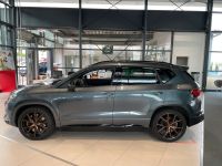 Cupra 