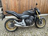 Honda CB600 Hornet Top gepflegt  - HONDA HORNET 600
