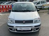Fiat Panda 1.2 8V Dynamic WENIG KM*TÜV 05.2026 - Fiat Panda Gebrauchtwagen in Stuttgart