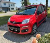 Fiat New Panda 1.2 8V EASY EASY - Fiat New Panda von privat