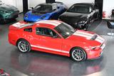 Ford Mustang Shelby 5.8 GT500/Handschalter/PPF Folie - Ford Mustang: Shelby Gt500