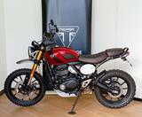 Triumph Scrambler 400 X SBF Umbau - TRIUMPH SCRAMBLER 400 X