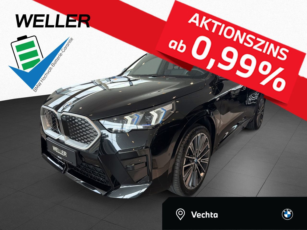 BMW iX2 xDr30 M Sport HUD ACC adLED H/K AHK 20" MEM