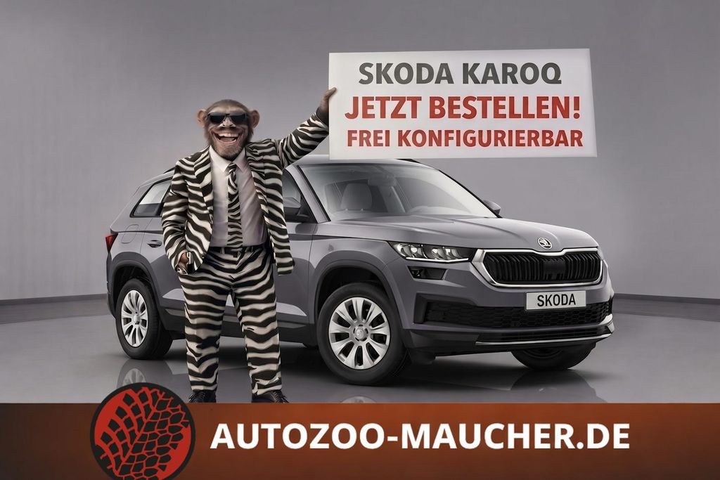 Image of Skoda Karoq