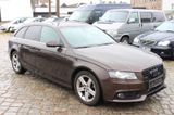 Audi A4 Avant Ambiente quattro Leder Xenon-Plus LED - Audi A4: Braun, Leder