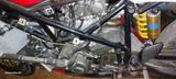 Ducati Corse 916/955 1994-2004 Superbike Collection  - DUCATI SUPERBIKE