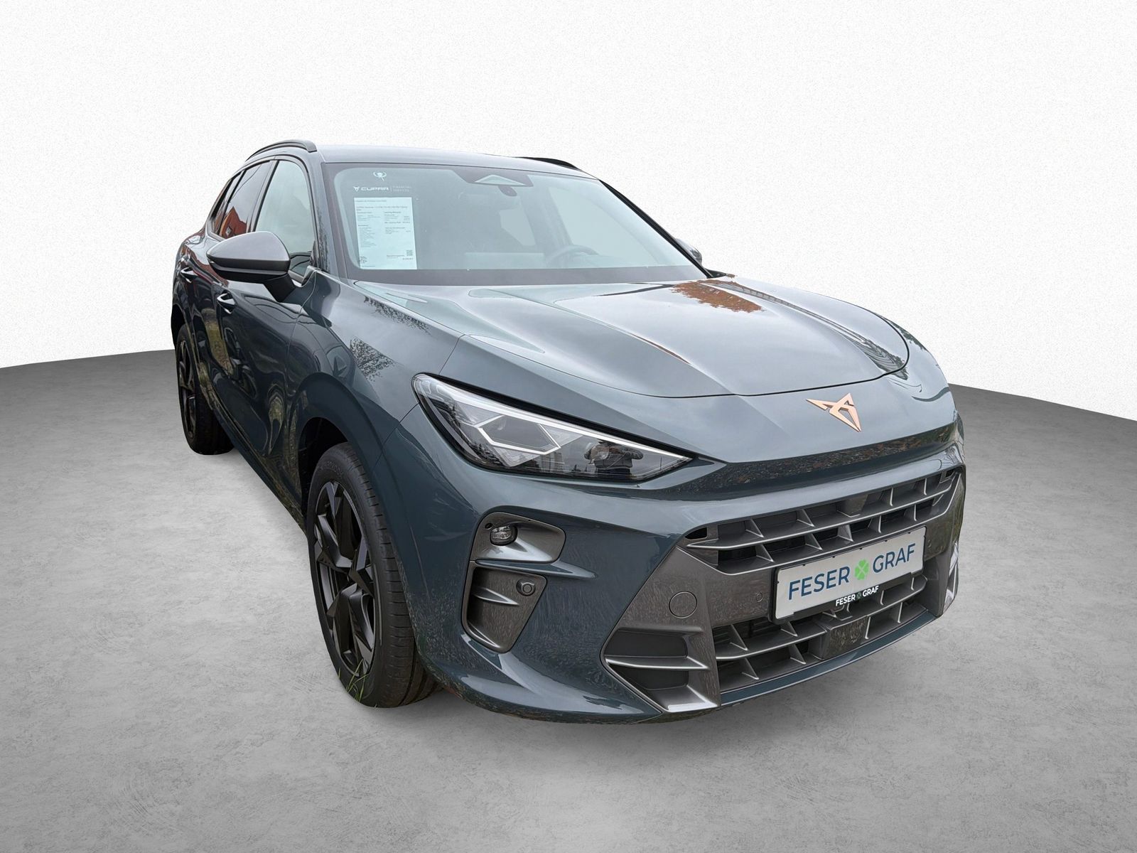 Cupra Terramar - Bild 3