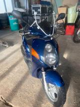Honda @125  NES125 (nichtSH125) Motorschaden - Angebote