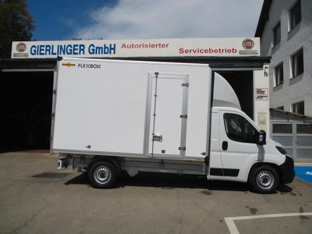 Fiat Ducato Maxi 177PS