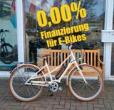 Excelsior Vintage E - Excelsior E-Bikes