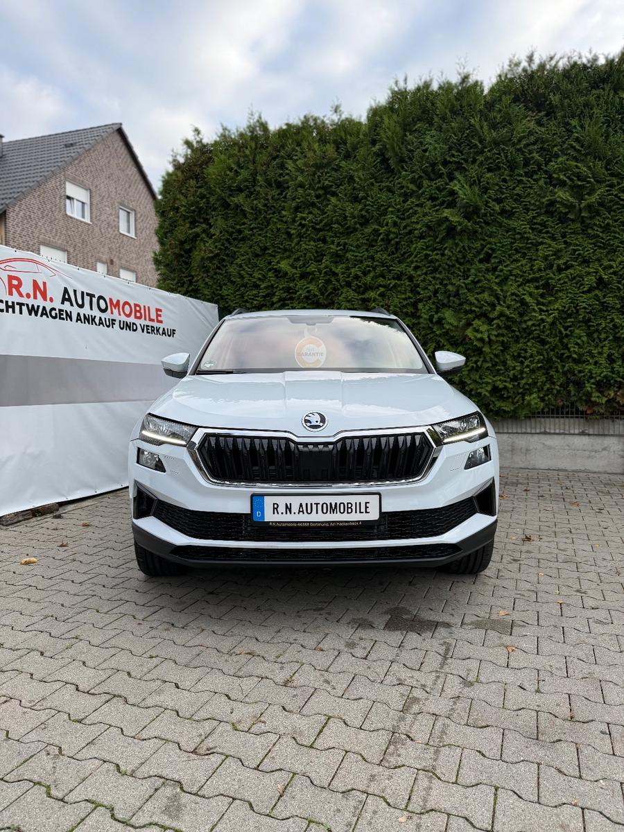 Skoda Karoq Tour 4x4