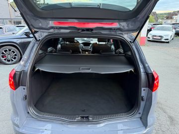 Ford Focus - 11