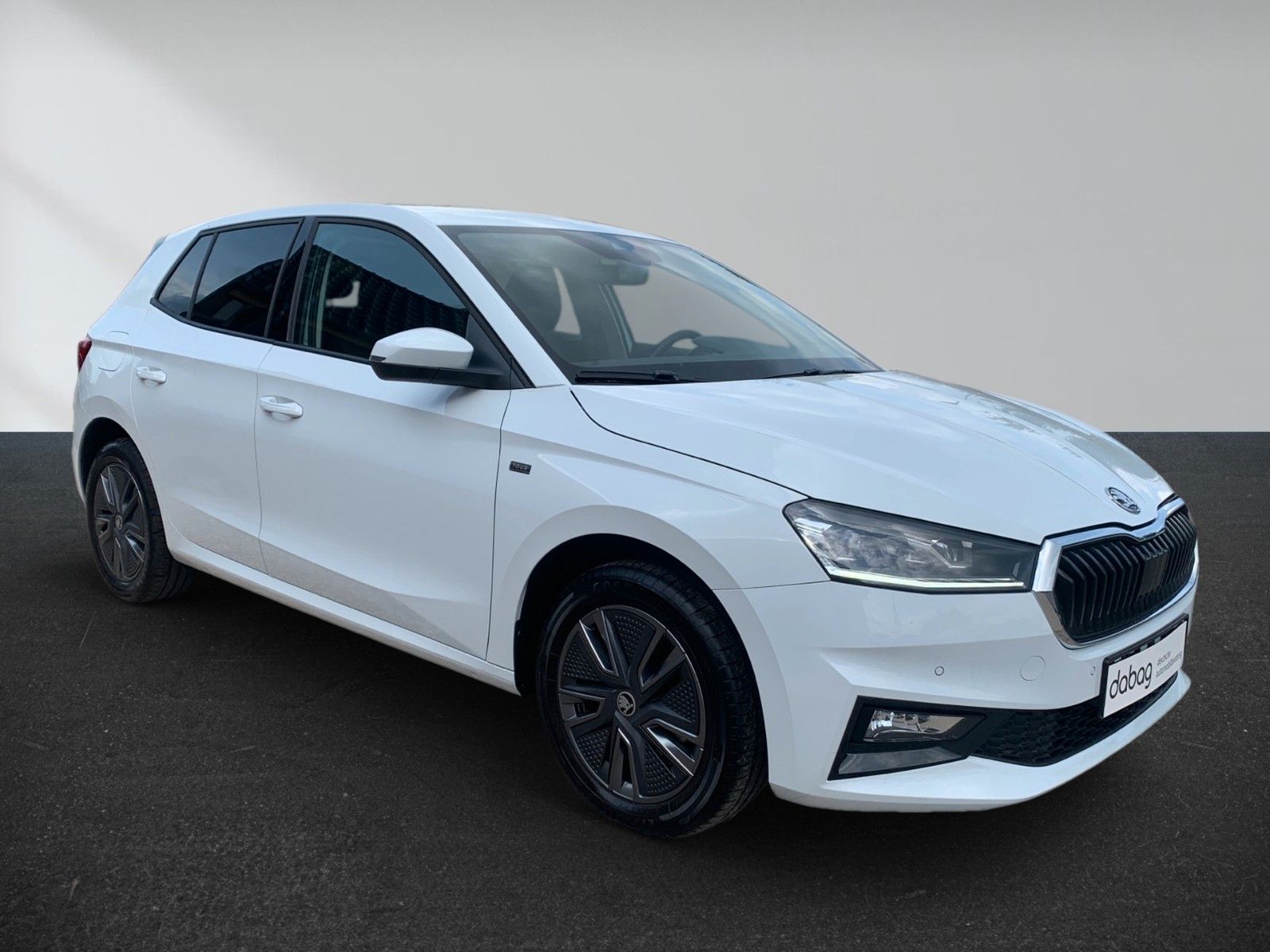 Skoda Fabia Tour imagem 2