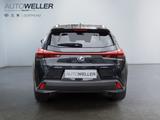 Lexus UX 250h Style Edition *Bi-LED*ACC*CAM*SHZ*CarPla - Lexus UX Gebrauchtwagen