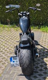 Andere Highneck Chopper, orig. HD Twin Cam - Benzin Motorräder weiterer Marken