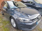 Volkswagen Golf 1.6 TDI DSG BMT CUP