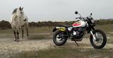 SWM 500 Six Days  ABS°!  The Legend !  NEU - SWM SIX DAYS 500