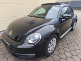 Volkswagen Beetle 1.6 TDI DSG Fender Edition BMT - Volkswagen Beetle mit Diesel-Antrieb