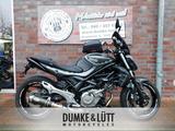 Suzuki SFV 650 GLADIUS, ABS, 1.HAND, HURRIC ESD - Angebote