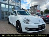 Volkswagen Beetle Lim. Design*LEDER*NAVI*PDC*KLIMA*1. HAND - Volkswagen Beetle: Kleinwagen